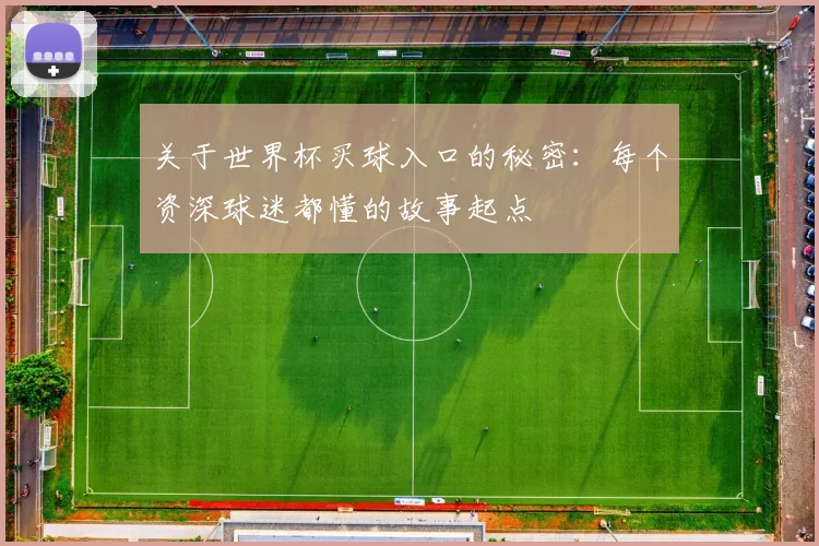 关于世界杯买球入口的秘密：每个资深球迷都懂的故事起点