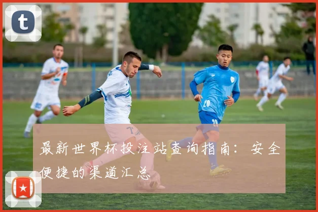 最新世界杯投注站查询指南：安全便捷的渠道汇总