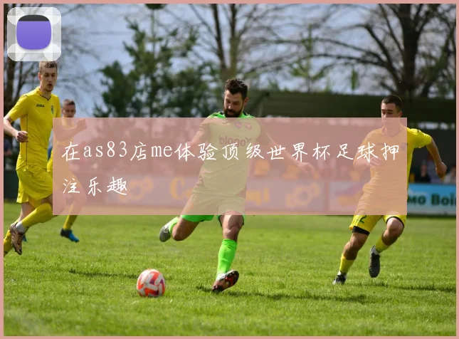 在as83店me体验顶级世界杯足球押注乐趣