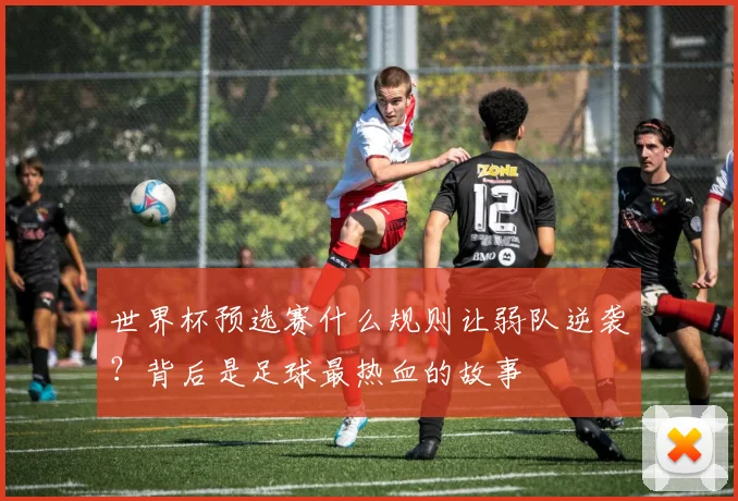 世界杯预选赛什么规则让弱队逆袭？背后是足球最热血的故事