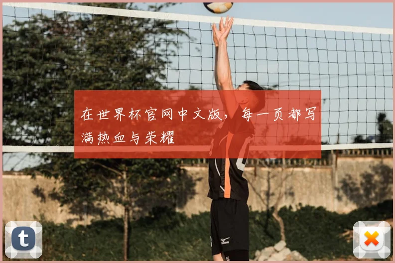 在世界杯官网中文版，每一页都写满热血与荣耀