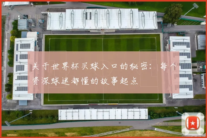 关于世界杯买球入口的秘密：每个资深球迷都懂的故事起点