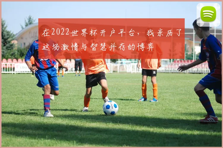 在2022世界杯开户平台，我亲历了这场激情与智慧并存的博弈