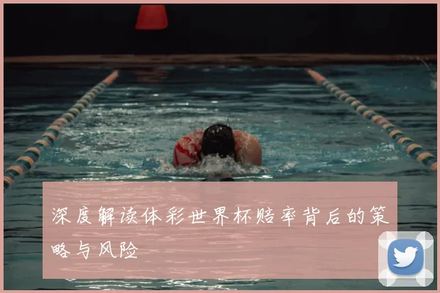 深度解读体彩世界杯赔率背后的策略与风险