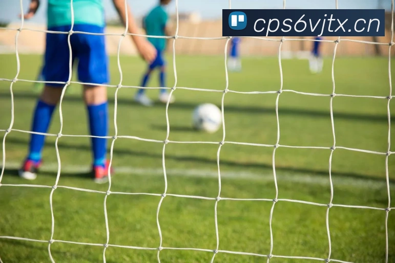 星空体育官方在线观看平台生态图