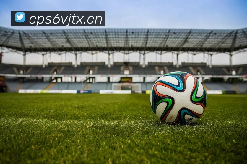 星空体育官方在线观看APP 封面图